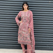 Load image into Gallery viewer, NEW CHEVRON CHIFFON COLLECTION- READY TO WEAR - WITH CHIFFON EMBROIDERED BORDER SCARF