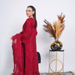 Load image into Gallery viewer, Dastaan Exclusive Branded Organza Collection | OR-02