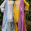 Load image into Gallery viewer, Reet by shagun Farshi Shalwar Eid collection Vol 4 ZS-0010