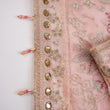 Load image into Gallery viewer, Amroz By Shagun 3pcs Plazoo Collection APC-02