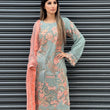 Load image into Gallery viewer, NEW CHEVRON CHIFFON COLLECTION- READY TO WEAR - WITH CHIFFON EMBROIDERED BORDER SCARF