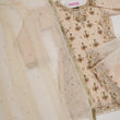 Load image into Gallery viewer, Noor-e-Fishan Exclusive Wedding wear Collection 2024 By Shagun TQ-12