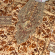 Load image into Gallery viewer, NIGAAH-E-SHOK WINTER LINEN