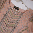 Load image into Gallery viewer, Shagun Organza budget wear Eid Collection Vol 2 SK-003
