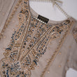Load image into Gallery viewer, Shagun Organza budget wear Eid Collection Vol 2 SK-006
