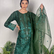 Load image into Gallery viewer, NAQSH ORGANZA EID WEAR