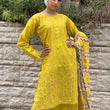 Load image into Gallery viewer, LAIBA-READY TO WEAR- CHIKANKARI EMBROIDERED LAWN WITH LAWN SCARF