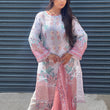Load image into Gallery viewer, RANI BY SHAGUN FESTIVAL COLLECTION