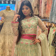 Load image into Gallery viewer, New lehnga with blouse and dubatta