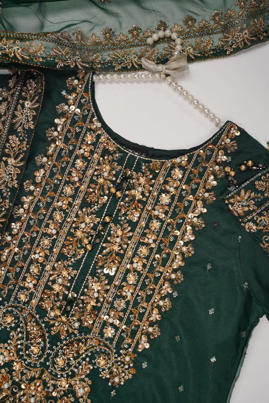 Rang Rasiya luxury Mehndi collection vol 2 MS-01