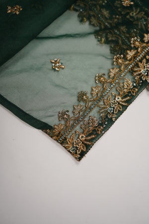 Rang Rasiya luxury Mehndi collection vol 2 MS-01