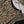 Load image into Gallery viewer, Rang-e-Noor Vol 3 Eid Collection 2025 SR-14
