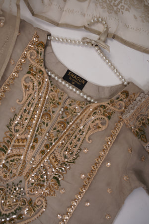 Shagun Organza budget wear Eid Collection Vol 2 SK-007