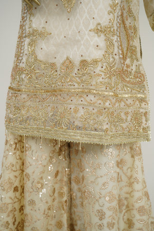 Noor-e-Fishan Exclusive Wedding wear Collection 2024 By Shagun TQ-04