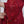 Load image into Gallery viewer, Dastaan Exclusive Branded Organza Collection | OR-02
