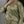 Noor-e-Fishan Luxury Collection MSH-05