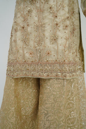 Noor-e-Fishan Exclusive Wedding wear Collection 2024 By Shagun TQ-05