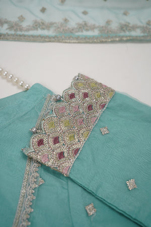 Rang-e-Bahar Luxury Organza Eid Collection 2024 SS-008