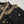 Load image into Gallery viewer, Noor-e-Fishan Exclusive Wedding wear Collection 2025 TQ-001
