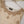 Load image into Gallery viewer, Noor-e-Fishan Exclusive Wedding wear Collection 2025 TQ-006
