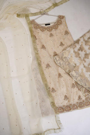 Noor-e-Fishan Exclusive Wedding wear Collection 2025 TQ-006