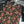Load image into Gallery viewer, RANI رانی BY SHAGUN  CHIFFON HANDWORK / EMBROIDERED SHIRT -CHIFFON SCARF
