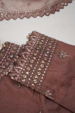 Rang-e-Bahar Luxury Organza Eid Collection 2024