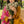 Load image into Gallery viewer, Reet by shagun Farshi Shalwar Eid collection Vol 4 ZS-007
