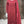 Shagun Exclusive Embroidery Collection ZT-03
