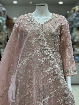 Gule-e-Rung Vol - 1 by Shagun - Organza/Net Maxi Collection FG-002