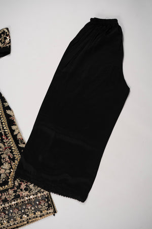 Rang Rasiya Collection New Arrival JB-03