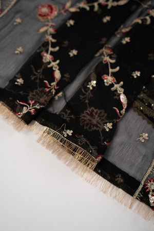 Rang Rasiya Collection New Arrival JB-03