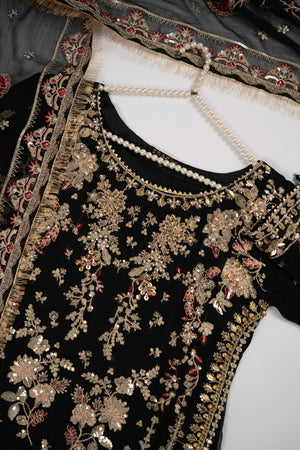 Rang Rasiya Collection New Arrival JB-03
