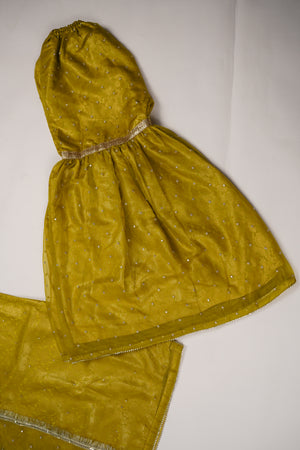 Noor-e-Fishan Exclusive Wedding wear Collection PS-05