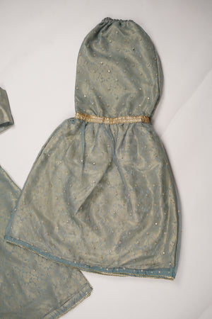 Noor-e-Fishan Exclusive Wedding wear Collection PS-02