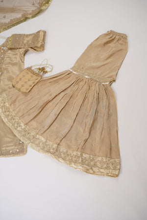 Noor-e-Fishan Luxury Collection MSH-06