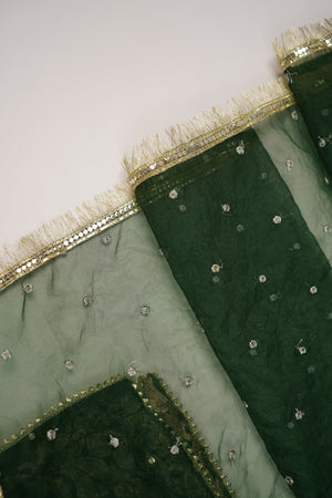 Noor-e-Fishan Exclusive Wedding wear Collection PS-04