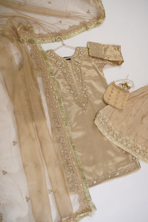 Noor-e-Fishan Luxury Collection MSH-06