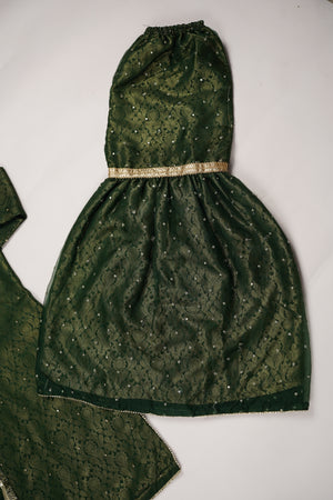 Noor-e-Fishan Exclusive Wedding wear Collection PS-04