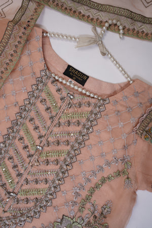 Shagun Organza budget wear Eid Collection Vol 2 SK-003