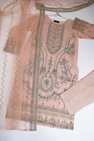 Shagun Organza budget wear Eid Collection Vol 2 SK-003