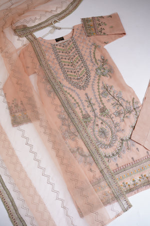Shagun Organza budget wear Eid Collection Vol 2 SK-003