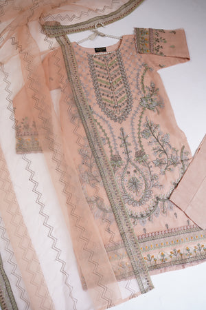 Shagun Organza budget wear Eid Collection Vol 2 SK-003