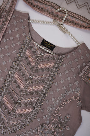 Shagun Organza budget wear Eid Collection Vol 2 SK-009