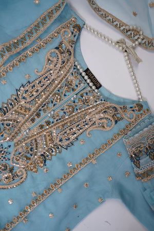 Shagun Organza budget wear Eid Collection Vol 2 SK-008