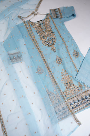 Shagun Organza budget wear Eid Collection Vol 2 SK-008