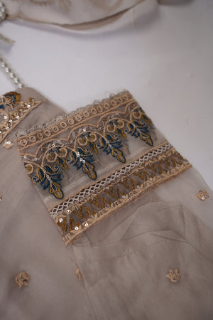 Shagun Organza budget wear Eid Collection Vol 2 SK-006