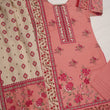 Load image into Gallery viewer, Fiza Maryam Original Designer 3pc ZX-02

