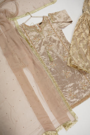 Noor-e-Fishan Wedding Collection TZT-22