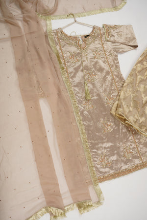 Noor-e-Fishan Wedding Collection TZT-22